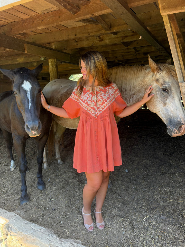 Colette Embroidered Tunic Dress