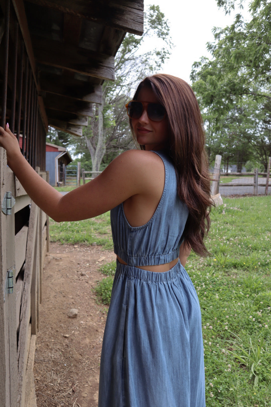 Lennon Denim Dress